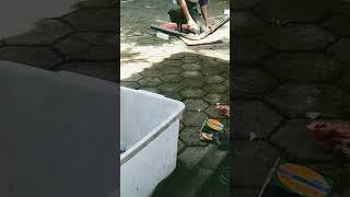 Cara Menggerinda Cepatstainlesssteelpegangantanggashortsshortvideopolesstainless [upl. by Tinya771]