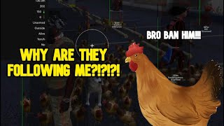 spawning chickens on gangster americans in fivem roleplay [upl. by Dola948]