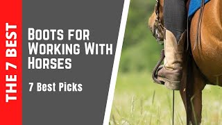 The Best Boots for Working With Horses  5 Ultimate Picks of 2020 [upl. by Wheelwright]