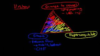 Thromboembolic Disease Deep Vein Thrombosis and Pulmonary Embolism [upl. by Eillom]