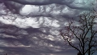 Undulatus asperatus Асператусы в небе [upl. by Jerrie]