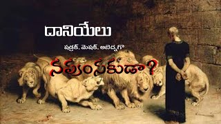 Is Daniel Eunuch దానియేలు నపుంసకూడాAre shadrach meshach abednego Eunuch napumsakula Truth expla [upl. by Elenaj]