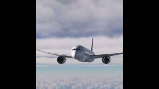 Air Europa Flight 45  Landing Animation July 1 2024 [upl. by Nappy]