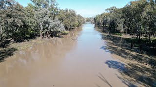 Condamine River  Chinchilla  Queensland  Australia [upl. by Eledoya]