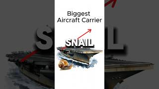 Snail 🐌 vs Fighter Jet ✈️—The Shocking Winner 🤯🚀 [upl. by Chelton]