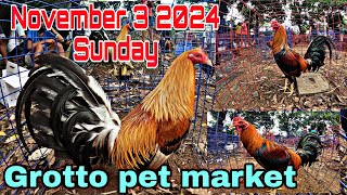 November 3 2024 Sunday  Grotto pet market [upl. by Raouf]