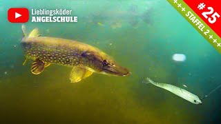 Köderführung zum Hechtangeln im Mai amp Juni 🎣🔥🐟 [upl. by Ajoop]