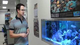 MacEwan instructor brings coral research inland [upl. by Milks386]