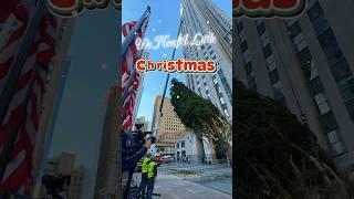 Rockefeller Tree arrives in Rockefeller plaza 2024 [upl. by Ailimat]