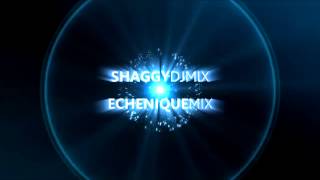 INTRO FEELINGS LATIN VIDEOMIXES VOL19  MAKE SOME NOISE ECHENIQUE MIX amp SHAGGY DJ MIX [upl. by Marrissa11]