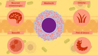 Istamina Interferoni NO PAF e neuropeptidi [upl. by Goodspeed]