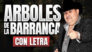 ARBOLES DE LA BARRANCA con LETRA El Coyote y su Banda Viejitas Rancheritas [upl. by Atiuqahc]