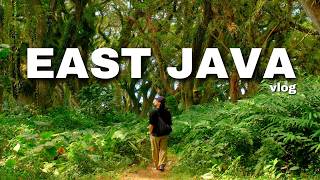 5 days in Indonesia  east java tumpak sewu mount bromo [upl. by Olli]