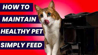 How to clean petsafe automatic feeder HEALTHY PET SIMPLY FEED [upl. by Araminta942]