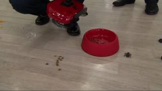 EasyEdge Lightweight Hard Floor Sweeper on QVC [upl. by Elauqsap]