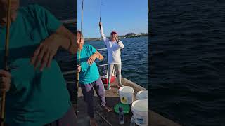 Fishing time Catch the Robin fish at Bermuda Islandislandlife ofwlife fypシ゚viral highlights [upl. by Assir]