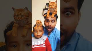 cat video cat voice cat sound cat meowing shorts short youtubeshorts tranding catcats [upl. by Boycey]