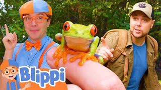 Blippis Adventure with Brave Wilderness  BEST OF BLIPPI TOYS  Educational Videos for Kids [upl. by Aliel993]