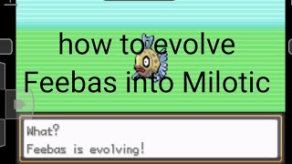 How to evolve Feebas into Milotic in pokemon gaia [upl. by Nnasor]