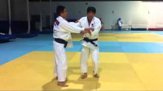 投技  basic and fundamental to advanced judo tachiwaza or throwing techniques [upl. by Erine]