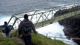 Trip to Mykines with the Faroese Ornithological Society [upl. by Aimehs]