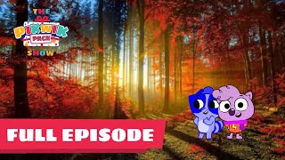 The Pikwik Pack Show S1 E2 Carsons sleepover [upl. by Liban]