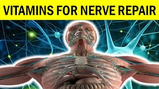 10 Best Vitamins for Nerve Repair in the Human Body [upl. by Jaban]