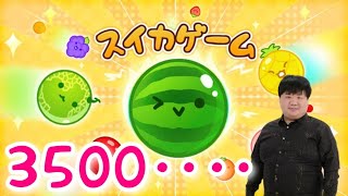 今年中に3500点行きたい男の生配信（参加型お休み）【スイカゲーム】 [upl. by Isia]