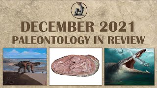 December 2021 Paleontology in Review [upl. by Eerrehc]