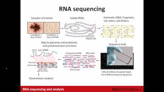 Introduction to RNA Sequencing [upl. by Ahsiekin]