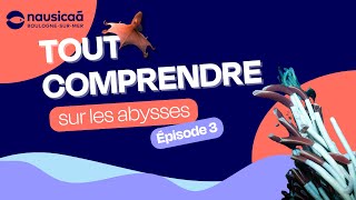 Tout comprendre sur les abysses  Partie 3 [upl. by Adniled73]