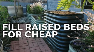 How to Fill a Raised Bed and Save 60 on Soil Costs [upl. by Williamsen]