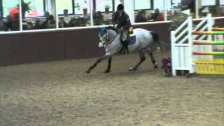 John Whitaker riding Sally Lanes Vitaal G [upl. by Allicsirp]