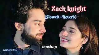 Zack knight ft mitraz mashup Slowed Reverb punjabi song Aasifstudio [upl. by Huskamp10]