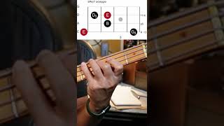 You NEED To Know This Music Theory For Bass [upl. by Blanka8]