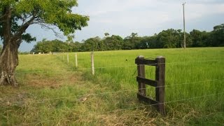 Cómo funcionan los Impulsores de las Cercas eléctricas  TvAgro por Juan Gonzalo Angel [upl. by Scott]