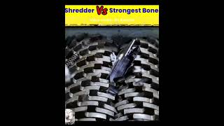 Shredder vs strongest bonesytshorts whatif [upl. by Joyann673]