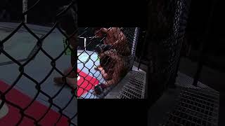 Khamzat Chimaev vs Robert Whittaker shorts [upl. by Boj]