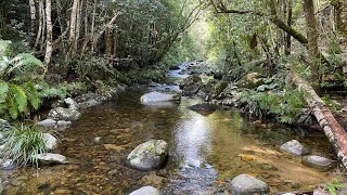 Multi Day Hike Of The GibraltarWashpool World Heritage Walk  Day 1 [upl. by Kaazi]