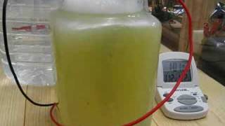 08037 Electrolyte Test Using White Vinegar Only [upl. by Lawrence]