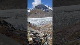 The majestic aletsch glacier in the Swiss Alps switzerland wildlifeadventure sport hiking fyp [upl. by Rebeka]