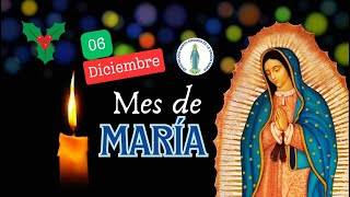 MES DE MARIA  Santo Rosario  Misterios dolorosos [upl. by Olimac]