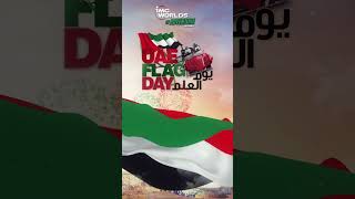 IMG Worlds of Adventure wishes the United Arab Emirates 🇦🇪 a joyful and proud Flag Day IMGWorlds [upl. by Ahtelat189]