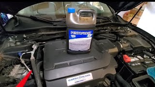 How to Refill Antifreeze in Honda Accord [upl. by Raymonds]