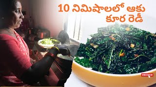 10 నిమిషాలలో ఆకు కూర రెడీ  how to cook lacinato kale recipe [upl. by Engen]