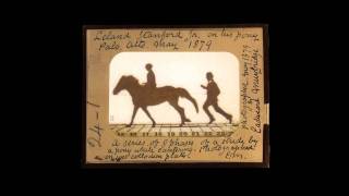 Eadweard Muybridge Leland Stanford Jr [upl. by Eelik533]