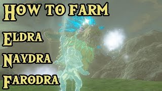 How to farm Eldra Naydra und Farodra Hornsplitter usw 【Zelda Breath of the Wild】 [upl. by Yasmine432]