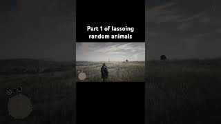 Lassoing random animals part 1 rdr2 rdr2online series reddeadredemption rdr reddeadredemtion2 [upl. by Eivi531]