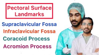 Pectoral Surface Landmarks  Clavicular Fossa  Coracoid Process  Acromion Process [upl. by Ahsitul237]