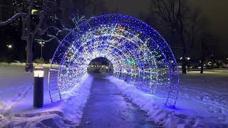 Niagara Falls at Night illustration Light Show [upl. by Vonnie513]